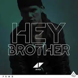 Обложка сингла Авичи «Hey Brother» (2013)