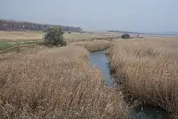 Река при пересечении с трассой М4 «Дон»