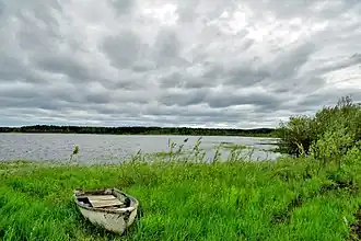 Озеро в ненастную погоду