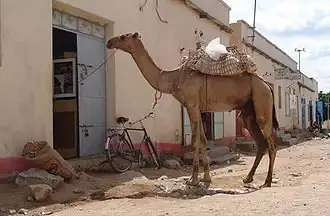 На улицах Барэнту