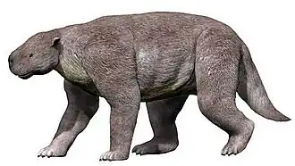 Реконструкция Barylambda faberi