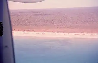 Залежи бокситов (вид побережья с самолета)