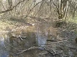 Нижнее течение реки весной 2020 года