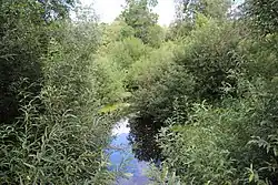 Бебрупе около устья летом 2020 года