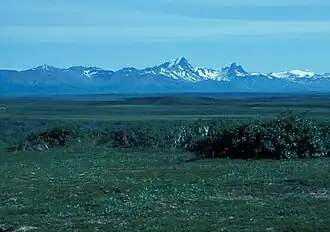 Типичный пейзаж заповедника