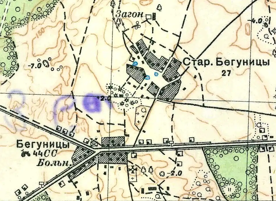 План деревни Старые Бегуницы. 1938 год