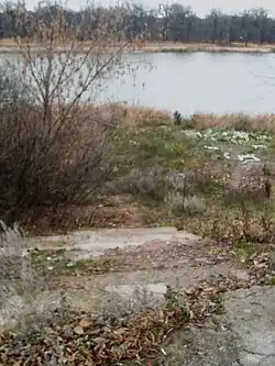 Беково. Усадьба Устиновых. Бывшие ступеньки к озеру Затон. 2011 год.