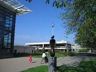 Университетский колледж Дублина