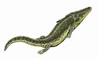 Benthosuchus sushkini