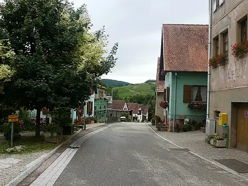 Центральная улица