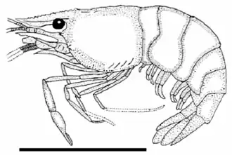 Реконструкция
