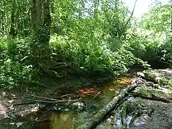 Бежанка в среднем течении