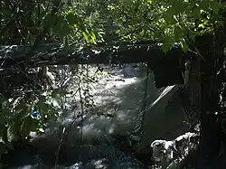 Ручей в Ростовском зоопарке в 2010 году