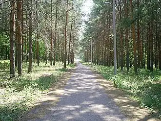 Затайрукский лесопарк им. В. Н. Полякова.