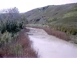 Низовье реки около Гульонези