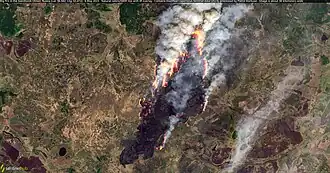 Лесные пожары 2023 года в России