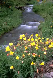 Вид на реку с Тропы Билли Кида