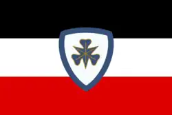 Флаг организации