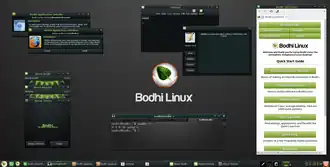 Bodhi Linux 4.0.0