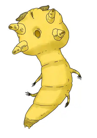 Реконструкция