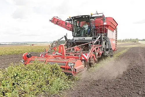 Уборка картофеля в Богородицком районе