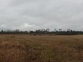 Вид на деревню с автодороги Шимск—Старая Русса