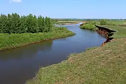 Нижнее течение реки весной 2013 года