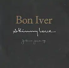 Обложка сингла Bon Iver «Skinny Love» (2008)