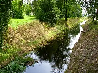 Канал Бона у места впадения в Мухавец (город Кобрин)