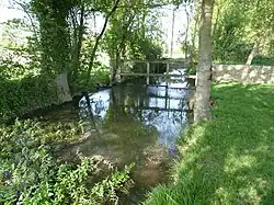 Возле бонневильской прачечной