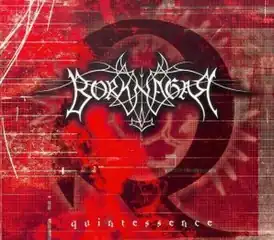 Обложка альбома Borknagar «Quintessence» (2000)