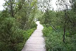 Тропа через национальный парк