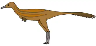 Реконструкция как альваресзаврида