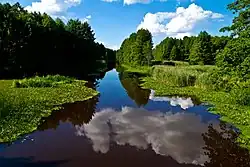 Низовье Брагинки на территории Чернобыльского радиационно-экологического биосферного заповедника