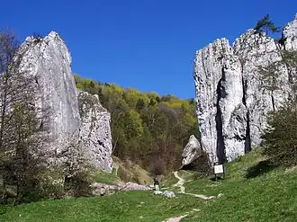 Скалы «Болеховицкие ворота» в Болеховицкой долине