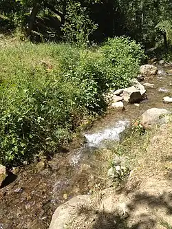 Булбулзарсай в нижнем течении