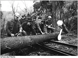 Очистка ж/д путей после урагана, 1973 год