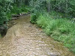 Вид на реку