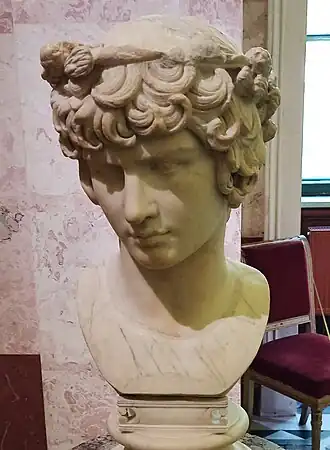 Бюст Антиноя-Диониса. Приобретён Дж. Л. Брауном, а затем императрицей Екатериной II в 1783 или 1784 году. Государственный Эрмитаж, Санкт-Петербург