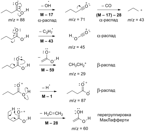 Пути фрагментации масляной кислоты в масс-спектрометрических экспериментах