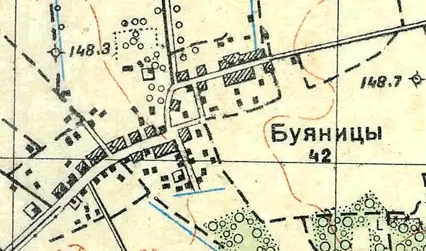План деревни Буяницы. 1930 год