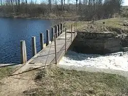 Река Быковка недалеко от д. Сушигорицы