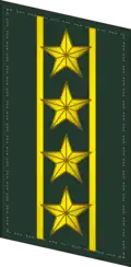 Петлица старшего полковника (Colonel Commandant) Народной вооружённой милиции КНР.