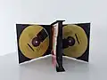 Упаковка с музыкальным альбомом записанным на двух CD