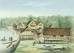 Вид Лонгваи