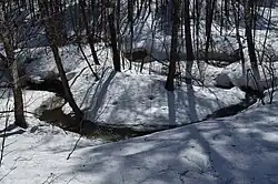 Зырянка в апреле