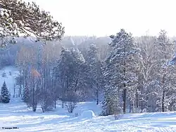 Ботсад зимой