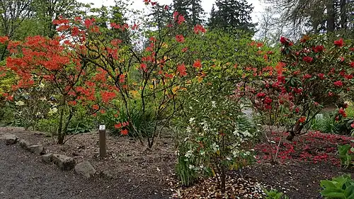 Опытный участок