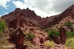 Каньон Колорадо (1)