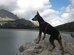 Ка Ратер Майоркин